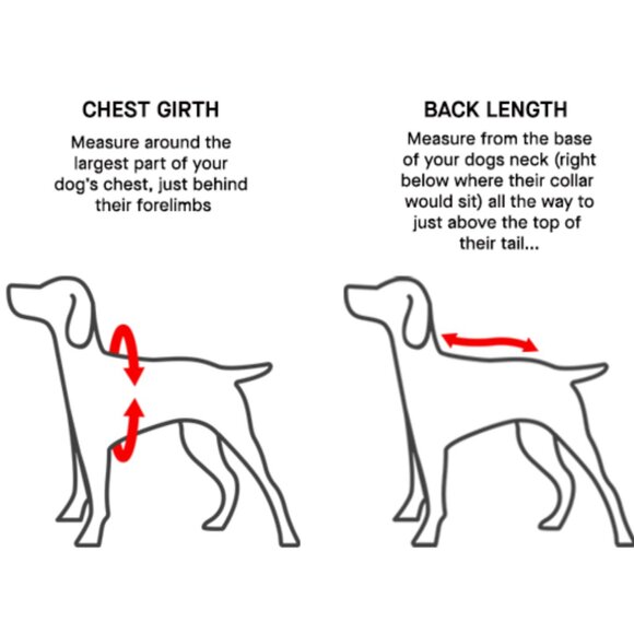 Canada Pooch True North Parka - Picture 6 of 8